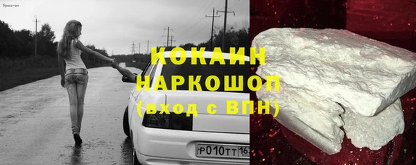 PSILOCYBIN Горняк