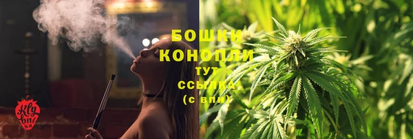 крисы Гусев