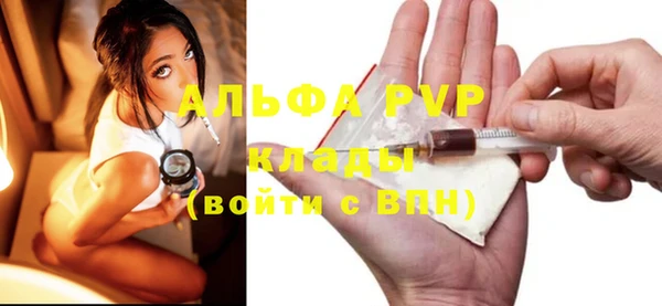 PSILOCYBIN Горняк
