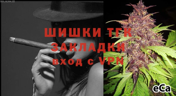PSILOCYBIN Горняк