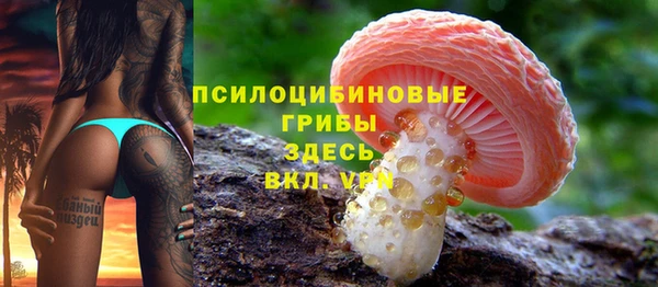 кокаин премиум Гусь-Хрустальный